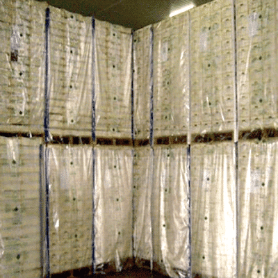 Shelf Life Extension Packaging - PrimePro EAP Pallet Cover