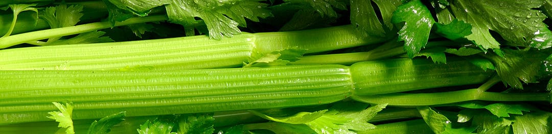 Celery – PrimePro Case Study